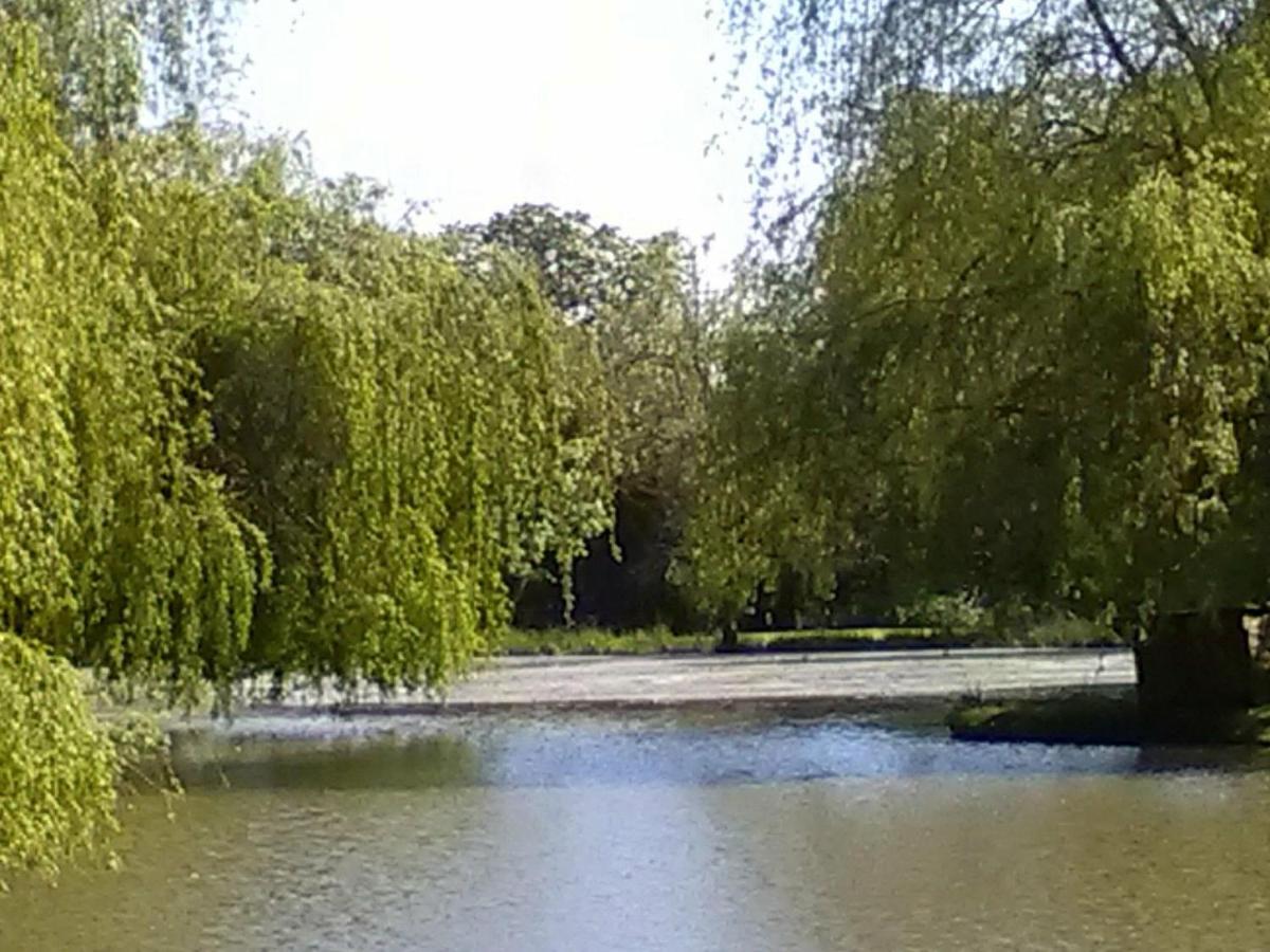 La Lune Lake Joue-en-Charnie Esterno foto