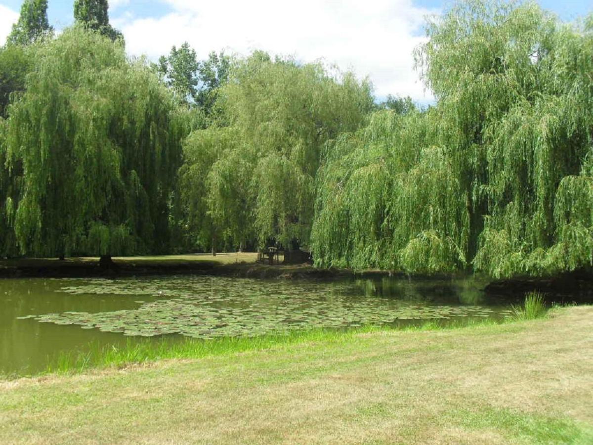 La Lune Lake Joue-en-Charnie Esterno foto